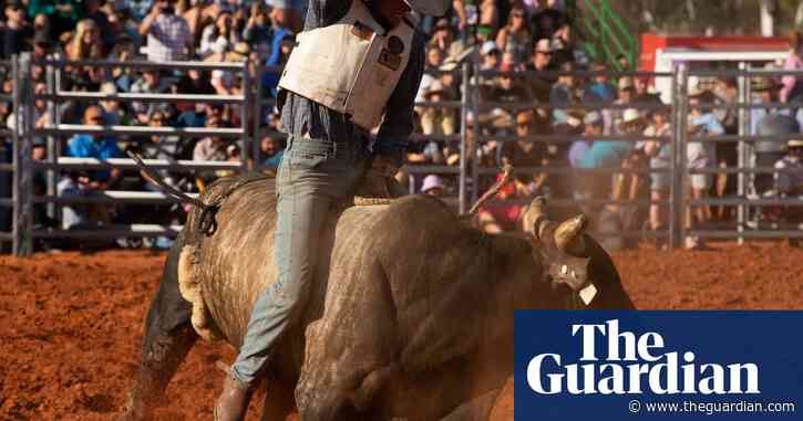 Party Bus the rodeo bull escapes Oregon arena and wounds three people