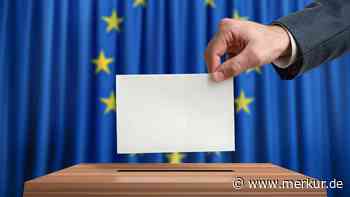 Europawahl: Der Landkreis hat gewählt