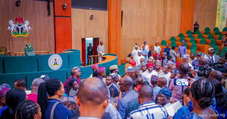 Reps push for 6 year presidential term with zonal rotation