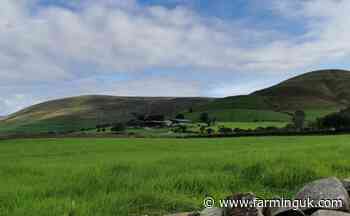 Farmers to test power of herbal leys to curb impact of flooding