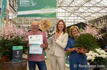 Astilbe simplicifolia Pretty in Pink bekroond met Green Retail Award Beste Nieuwigheid