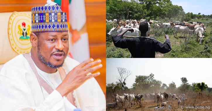 Nigeria must embrace ranching over open grazing — Katsina gov