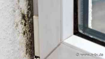 Irrtümer zu lästigen Pilzen: Schimmel an der Wand nicht mit Essig entfernen
