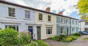 This pretty house is hiding in a quiet corner of Cardiff you never knew existed