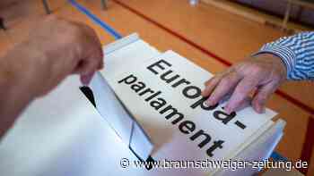 Europawahl: So hat der Landkreis Wolfenbüttel genau gewählt
