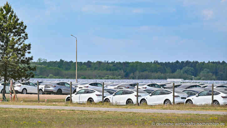 Tesla-Absatzprobleme: Tausende Fahrzeuge landen auf Parkplatz eines alten Militärflughafens