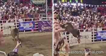 Raging Bull Jumps Fence at Sold-Out Rodeo, Lands in Crowd of Spectators