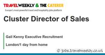 Gail Kenny Executive Recruitment: Cluster Director of Sales