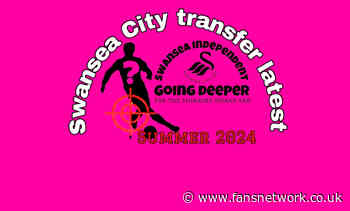 Latest updates on Swansea City’s transfer interests