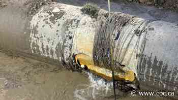 Watch Calgary officials provide Sunday's update on critical water main break