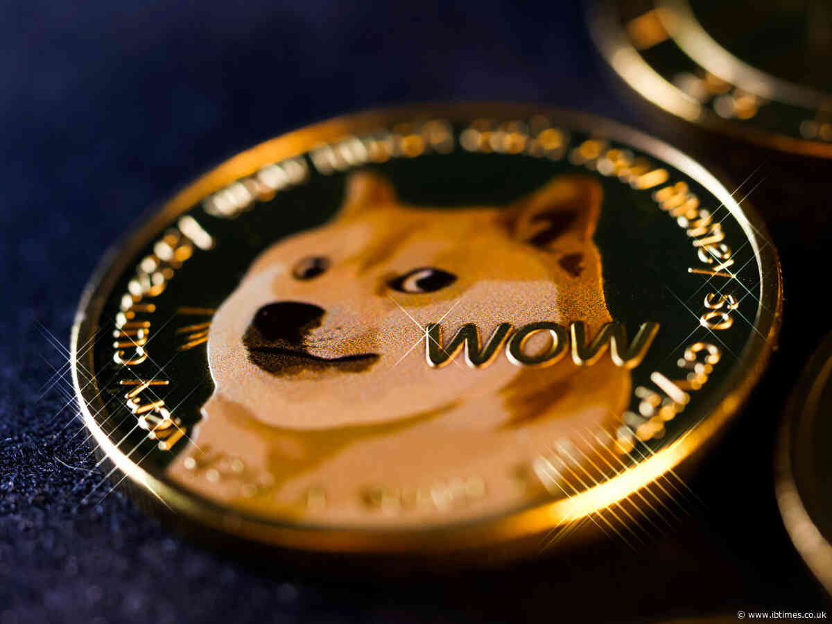 From Dogecoin to SHIB: The Rise and Resilience of Memecoins in Crypto