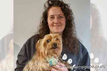 Wirral animal rescue losing shelter urges businesses to help