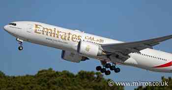 Drunk Emirates passenger sexually assaulted terrified mum on flight to Heathrow