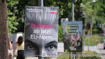 Reaktionen auf die EU-Wahl: Sorgenvolle Blicke und eine erfreute AfD