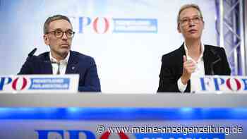 Nach EU-Wahl: Entscheiden Meloni und Le Pen über das Bündnis zwischen AfD und FPÖ?