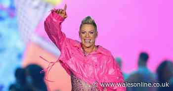 Pink in Cardiff live updates ahead of singer kicking off her Summer Carnival tour in Wales