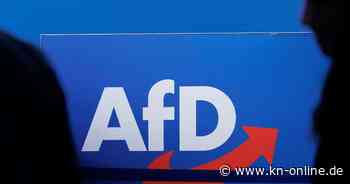 AfD-Ergebnisse bei der Europawahl 2024: Wo sind die Hochburgen?