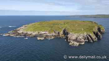 The ultimate getaway...remote Scots island with a tiny log cabin is put on the market for £500,000
