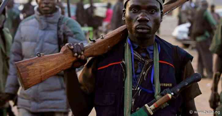 Nigerian Hunters Call on Tinubu to approve Forest Security Service bill