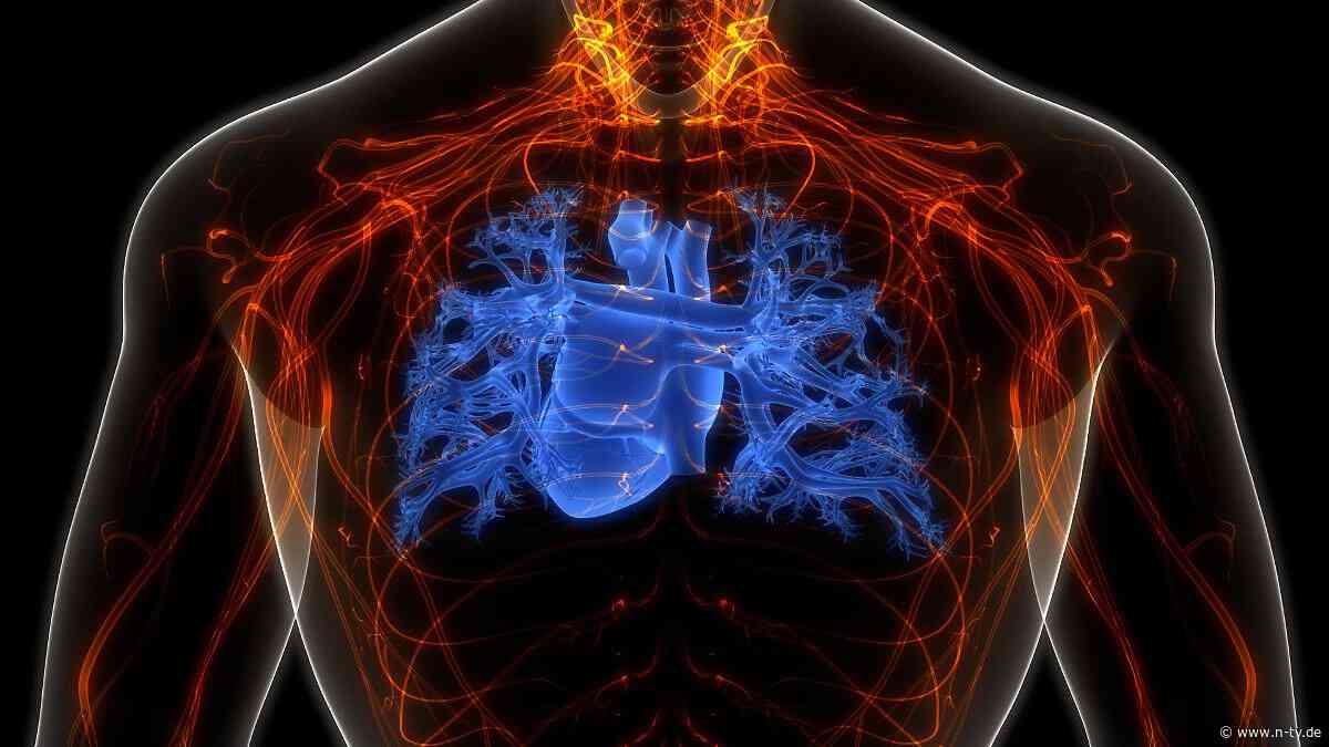 Studie zu gefährlichem Konsum: Energydrinks könnten Herzstillstand triggern