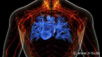 Studie zu gefährlichem Konsum: Energydrinks könnten Herzstillstand triggern