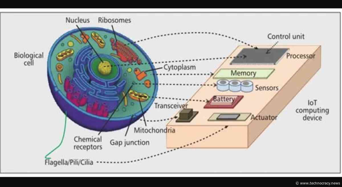 Transhumanism: Covid Injections And The Internet Of Bio-Nano Things, Part 4