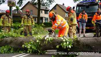 112-nieuws: noodtrap waait los tijdens storm • omgevallen boom in Dongen