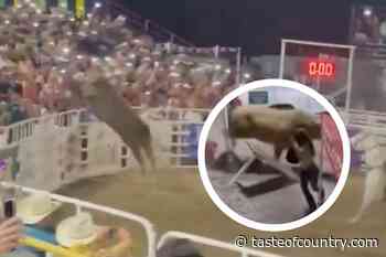 Rodeo Bull Jumps Into Crowd as Lee Greenwood Plays, Injures Three