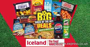Celebrate the Euros with £5 off £25 at Iceland and the Food Warehouse