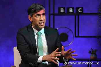 Rishi Sunak makes stunning failure admission on NHS and immigration in BBC Panorama interview