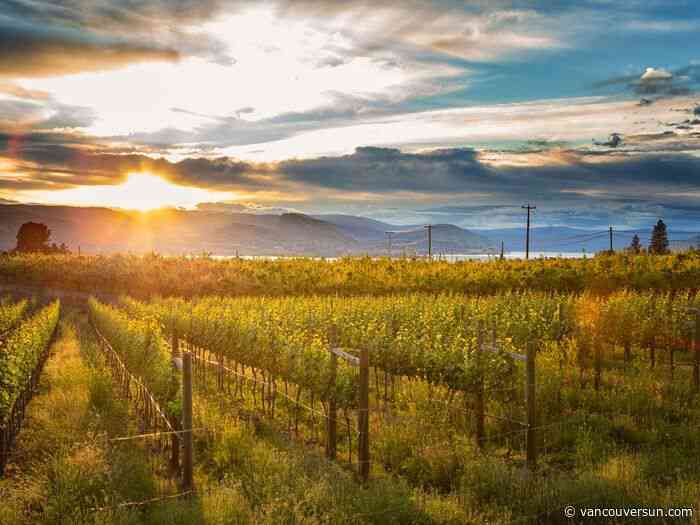On the Vine: Wineries still have wine to sell