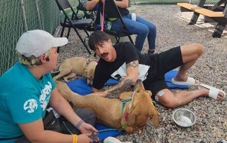 Red Hot Chili Peppers hangout with Bernalillo County Animal Care Service staff and dogs