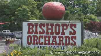 Bishop's Orchards in Guilford rebuilds ‘Little Red Barn' destroyed by fire