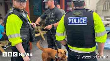 Illegal drugs seized in pub sniffer dog searches