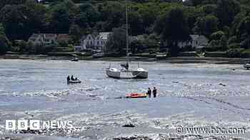 Two people and a dog in a dinghy rescued from mud