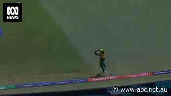 South Africa captain saves the day with final over catch on the boundary to damage Bangladesh's World Cup hopes