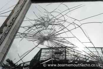 Jordan Ashley Burnell headbutted window in violent rampage