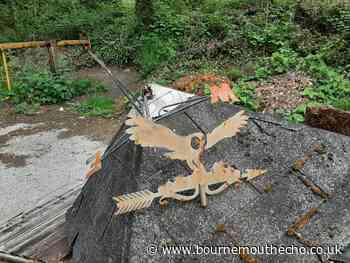 Shed with distinctive owl fly tipped near nature reserve