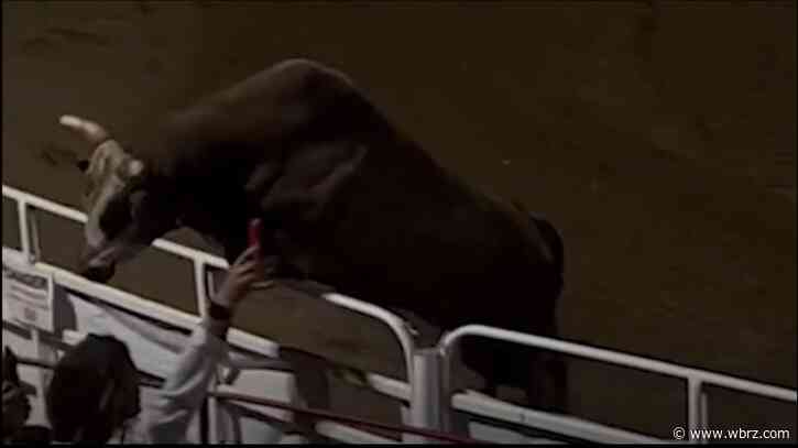 WATCH: Bull named 'Party Bus' escapes Oregon rodeo, triggering a brief panic; 3 hurt