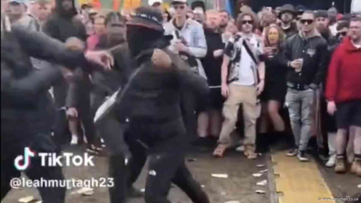 Shocking moment huge brawl erupts at Parklife in front of shocked music fans: Police make 52 arrests across the festival and seize 'weapons and illegal drugs'