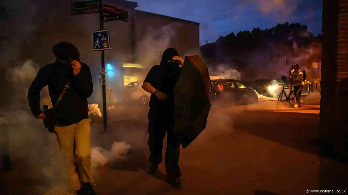 French police launch tear gas as officers clash with activists during protest against far-Right party's success in European elections