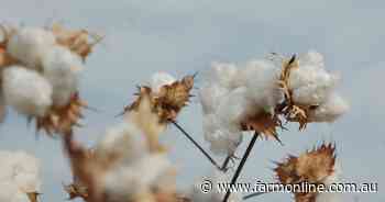 Olam extends closing date for Namoi Cotton takeover offer