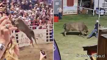 Toro saltó la cerca y embistió contra el público en rodeo de Oregon