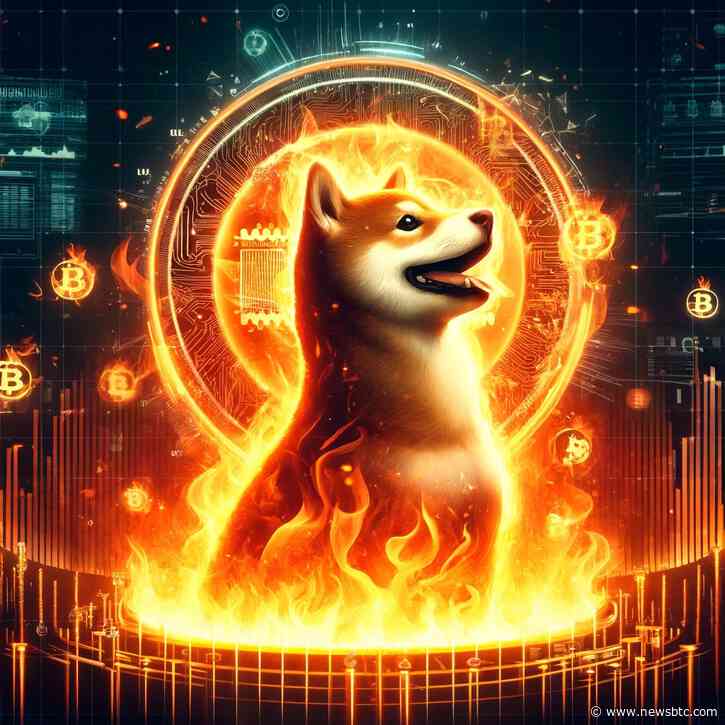 Shiba Inu (SHIB) Burn Rate Skyrockets Nearly 70,000%: Will This Trigger A Long-Awaited Price Explosion?
