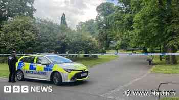 Rape arrest after city park attack