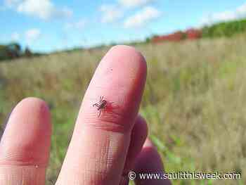 Black-legged tick instance up in Algoma