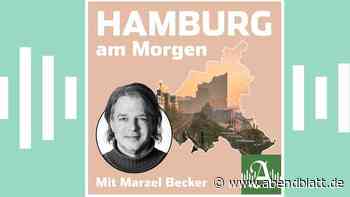 Kleinpartei VOLT punktet auch bei Bezirkswahlen in Hamburg