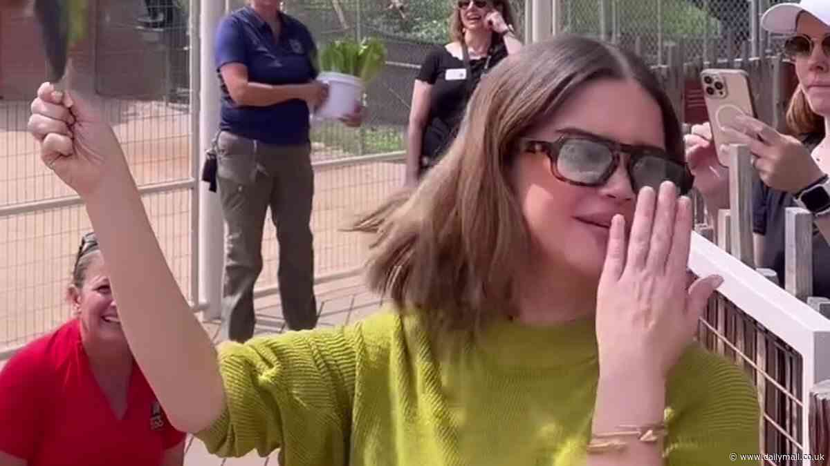 Maren Morris bonds with son Hayes, four, on family day at zoo... days after she surprised fans by coming out as bisexual in wake of divorce