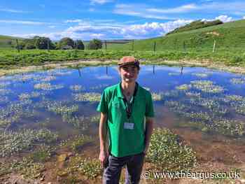 Sussex ponds restored to nature havens thanks to South Downs funding