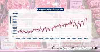 Lamb exports hit another high note